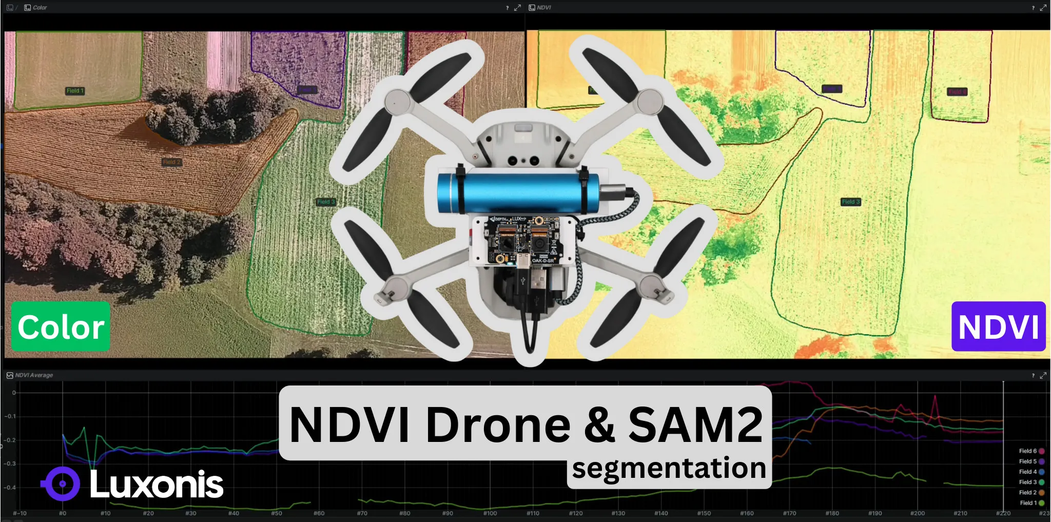 NDVI drone with SAM2 segmentation